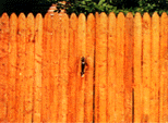 deckswoodfence